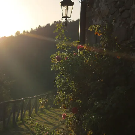 Oda ve Kahvaltı Loggia Del Centone 3*