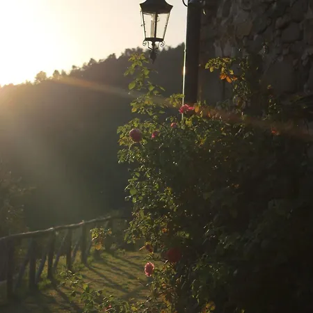 Bed & Breakfast Loggia Del Centone Matraia