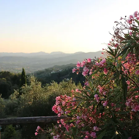 Bed & Breakfast Loggia Del Centone Matraia