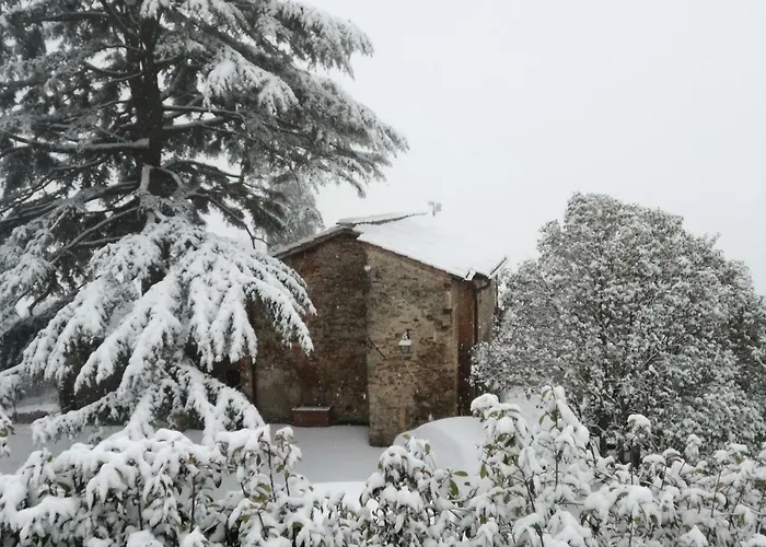Bed & Breakfast Loggia Del Centone Matraia